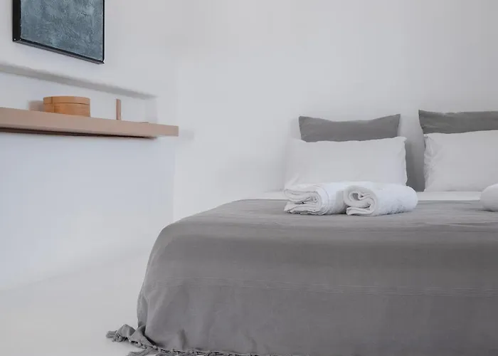 度假居 Mymykonos 普拉迪斯亚罗斯